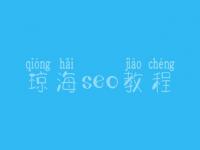 琼海seo教程_网站诊断方案