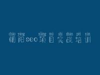 朝阳seo项目实战培训，网站优化推广