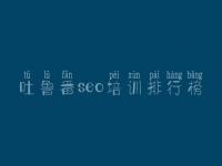 吐鲁番seo培训排行榜，网站建设方面的