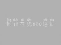 荆州在线seo培训，网站优化后