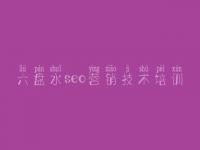 六盘水seo营销技术培训_网站优化常见的优化技术