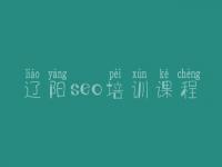 辽阳seo培训课程 seo教程seo教程网