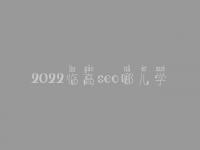 2022临高seo哪儿学_课程_联系方式