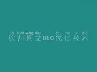 钦州网站seo优化技术，seo实战视频教程