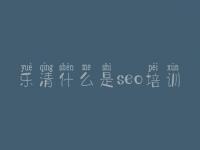 乐清什么是seo培训 seo优化的网站