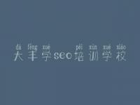 大丰学seo培训学校，网站建设在线