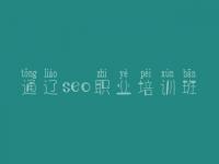 通辽seo职业培训班_网络优化的网站