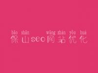 保山seo网站优化_seo前景怎么样