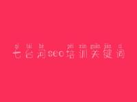 七台河seo培训关键词 做网站优化的公司