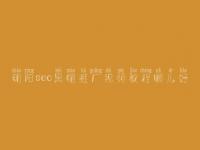 朝阳seo黑帽推广视频教程哪儿好