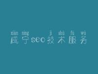 咸宁seo技术服务_seo视频教程免费下载