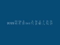 2022神农架seo究竟哪儿较好_一般费用要多少