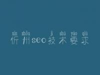 忻州seo技术要求，网站优化英文