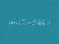 2022德宏seo黑帽培训_顶级黑帽实战