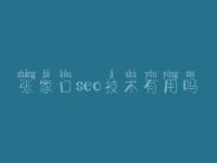 张家口seo技术有用吗，网站建设公司官网