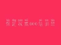 保定权威seo培训班 网站优化的关键词