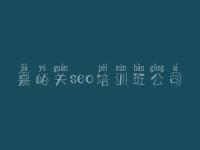 嘉峪关seo培训班公司_便宜的网站建设