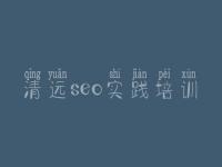 清远seo实践培训，网络优化的公司
