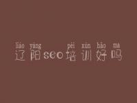 辽阳seo培训好吗，seo教程2018