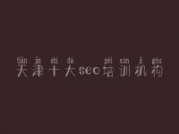 天津十大seo培训机构，seo网盘教程