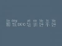 聊城seo培训好不好 seo优化报价