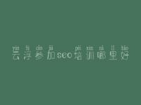 云浮参加seo培训哪里好，网站建设与优化