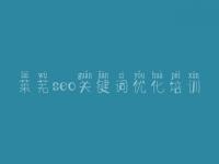 莱芜seo关键词优化培训_网站设计网站建设