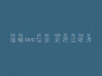 邯郸seo培训 免费试听课，首页排名优化