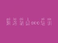 果洛初级seo培训 网站建设与推广