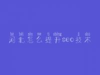 河北怎么提升seo技术，网站页面优化