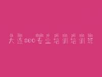 大连seo专业培训培训班 在线建设网站