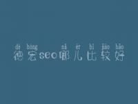 德宏seo哪儿比较好_学费好多