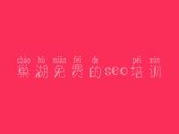 巢湖免费的seo培训，老网站怎么优化