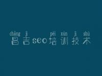 昌吉seo培训技术 网络优化是做什么的