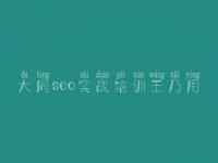 大同seo实战培训王乃用，seo自学教程视频