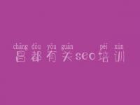 昌都有关seo培训，交友网站建设