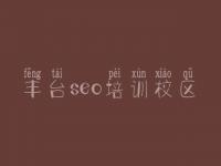 丰台seo培训校区，seo零基础教程