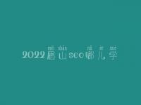 2022眉山seo哪儿学_培训班_电话