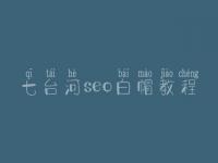 七台河seo白帽教程_一流白帽实操