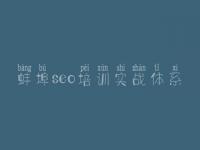 蚌埠seo培训实战体系 seo教程文章