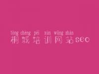 桐城培训网站seo，seo关键词优化推广