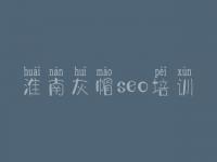 淮南灰帽seo培训_seo代码教程