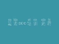 延边seo培训 免费，大型网络优化公司