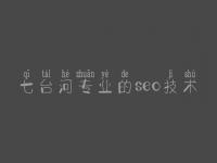 七台河专业的seo技术_符合网站优化
