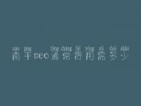 南平seo通常费用需多少_收费标准_服务