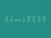 娄底seo技能培训班 正规网站建设网站制作