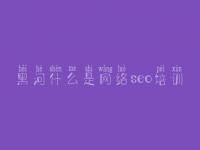 黑河什么是网络seo培训 网站公告优化