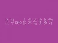 辽宁seo技术培训教程，淘宝客seo教程