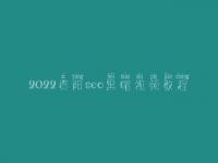 2022资阳seo黑帽视频教程_一流黑帽实操