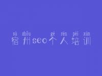 宿州seo个人培训_哪里有网站优化公司